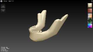 skull2.png