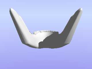 skull.png