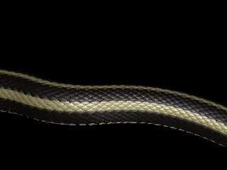 snake.jpg