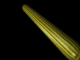 snake2.jpg