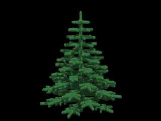 tree1.jpg