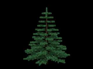tree2.jpg