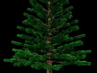 tree2b.jpg