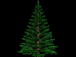 tree2c.jpg