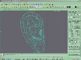 earmesh1.jpg