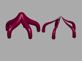 TestNewDome alien Starfish.jpg