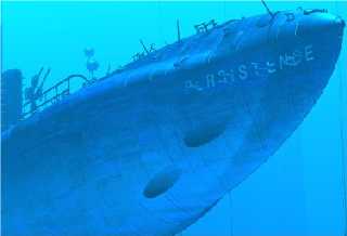 Image2.jpg