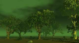 mytree5f.jpg
