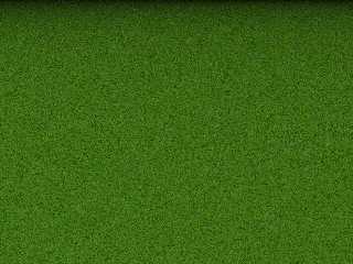 mygrass.jpg