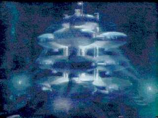 orca4.jpg