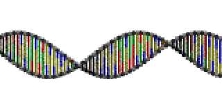 dna.png