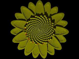 sunflower2.jpg