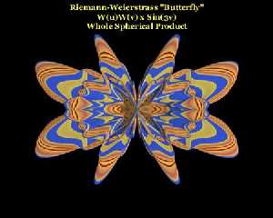 riemann_butterfly_02.jpg