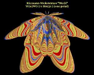 riemann_moth_02.jpg