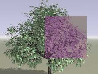 filter-test.jpg