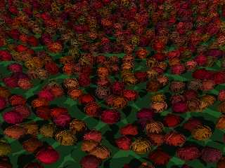 roses1.jpg