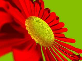 Flower.JPG