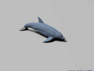 dolphin_metallic_01_800x600.jpg