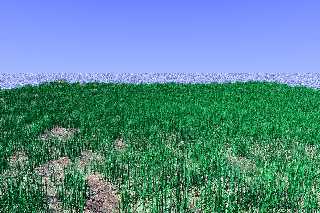 grass_test.jpg