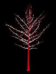 tree_snow_3.jpg