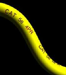 cat5.jpg