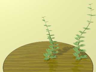 plants.jpg
