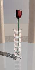 rose1.jpg