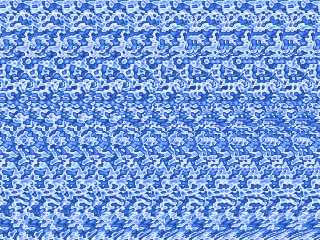 stereogram2_14.jpg