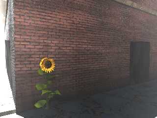 Sunflower alley.png