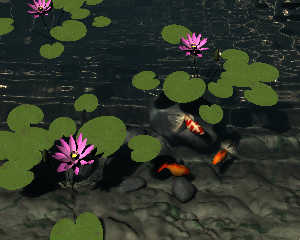 waterlilies.jpg