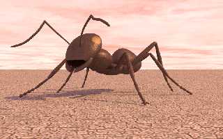 ant queen.png