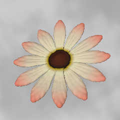 blackholeflower.jpg