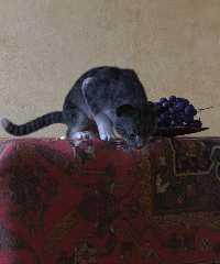 vermeer's cat - part 4.jpg
