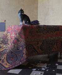 vermeer's cat - part 6.jpg