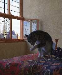 vermeer's cat - part 7.jpg