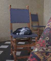 vermeer's cat - part 8 (finis).jpg