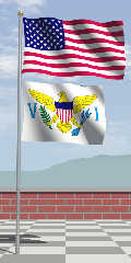 usa-vi-flags.jpg