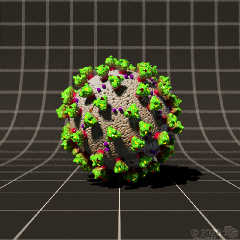 cgs-virus.jpg