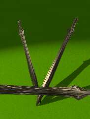 objects_test - bronzeagesword_03.png