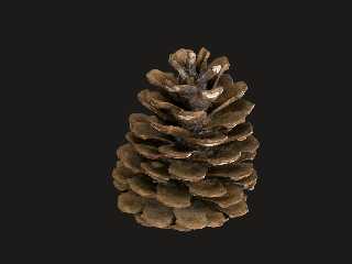 cone.png