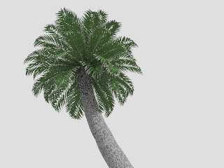 PalmTest.jpg