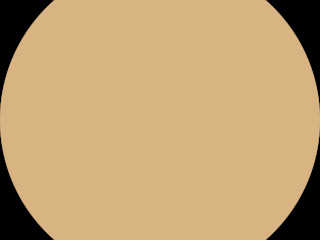 yadgar-disc.jpg