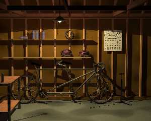 tandem_in_shed_m.jpg