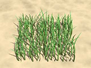 grassm0s.jpg