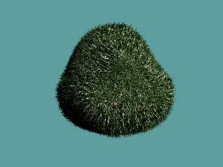 grass4.jpg