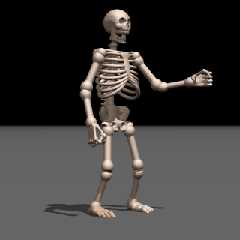 skeleton.png