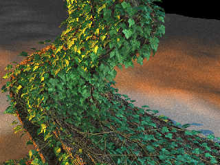 ivy_tree_2.jpg