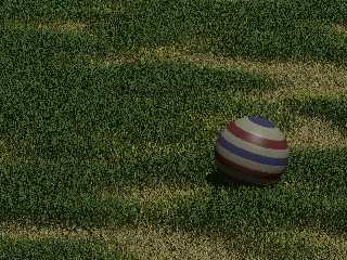 bad_lawn.jpg