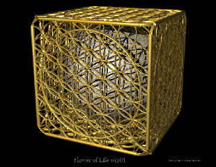florvida_cube1.jpg