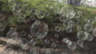 soap_bubbles_3.6.jpg